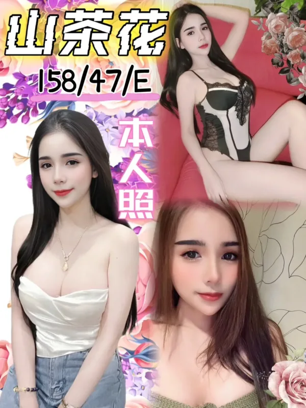 台中定點茶-山茶花