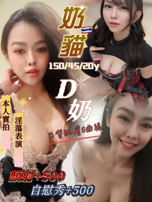 桃園定點茶-奶貓