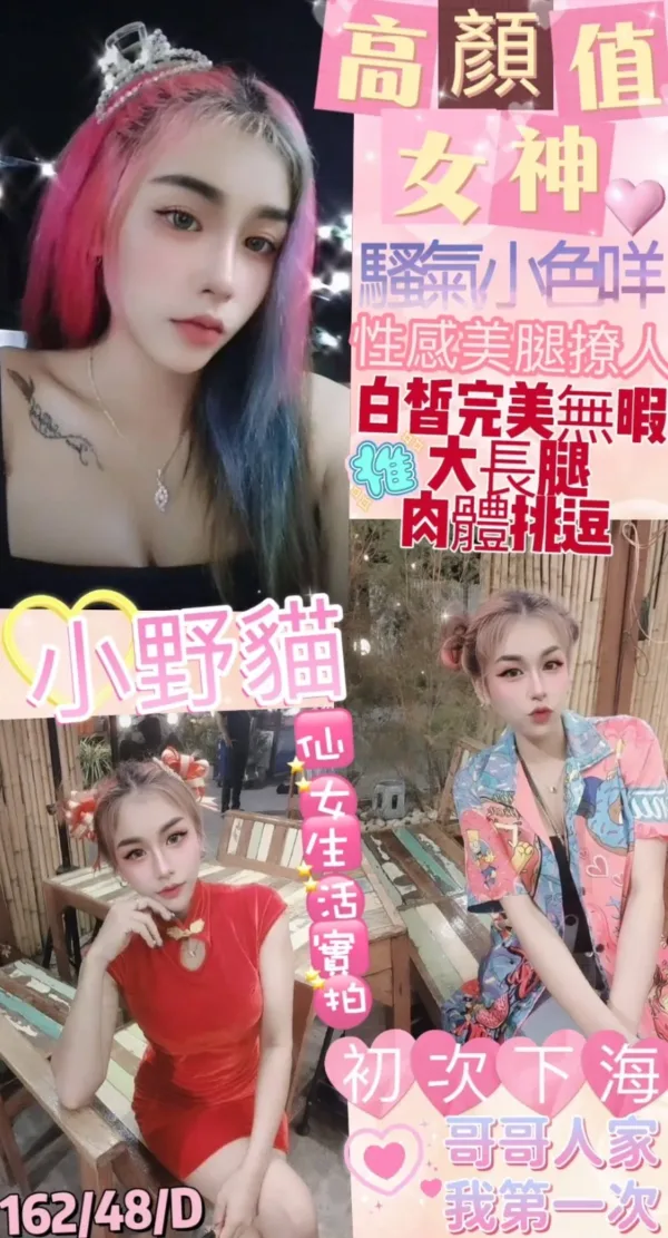 台北定點茶-小野貓